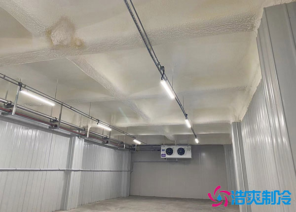 低溫冷庫建造用風冷好還是排管好?.jpg