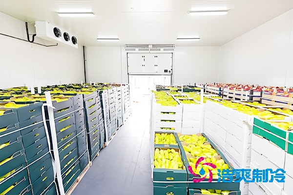 水果保鮮冷庫每平方米的建造費用是多少錢?-浩爽制冷