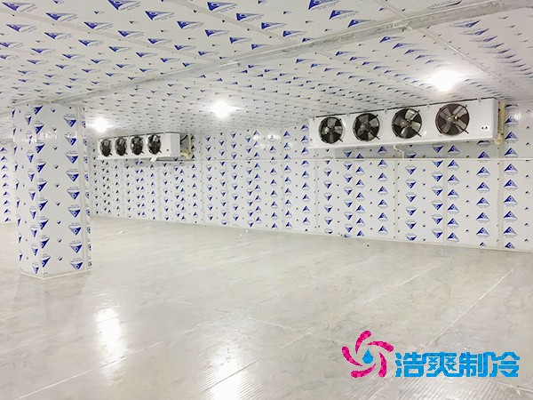 建造一個餐飲雙溫冷庫造價成本需要多少資金?