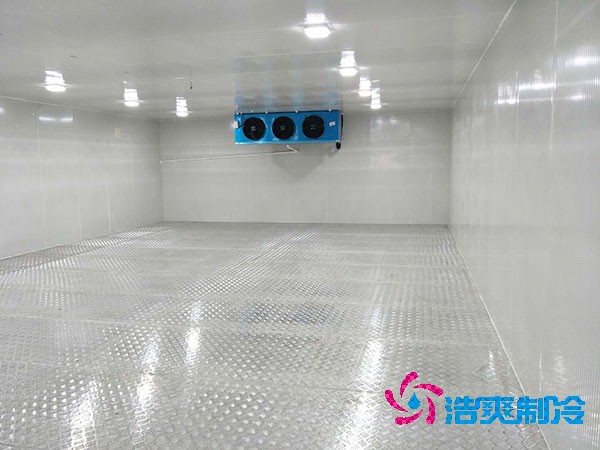 建造一個餐飲雙溫冷庫造價成本需要多少資金?