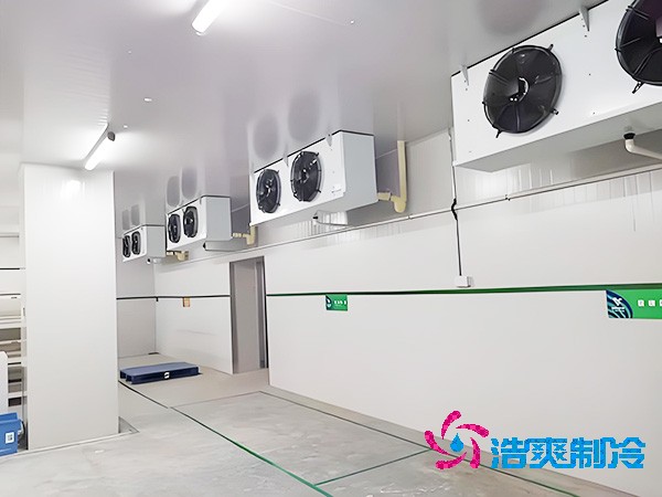 上海低溫冷庫造價大概是多少錢