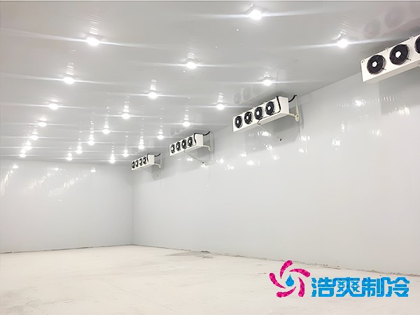 500平米蔬菜保鮮冷庫造價