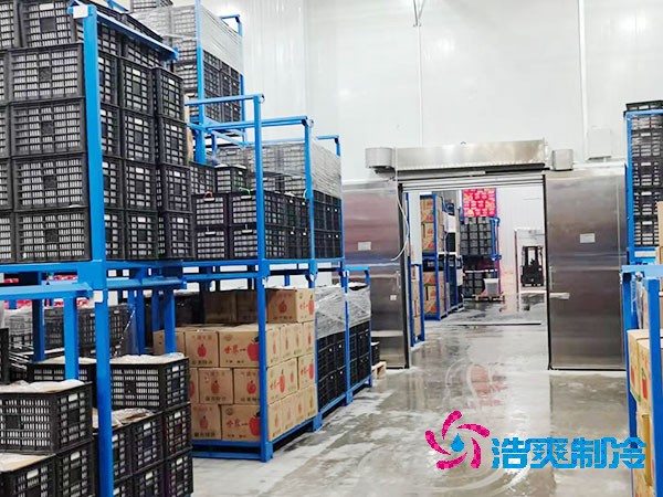 生鮮冷鏈物流冷庫(kù)建造價(jià)格