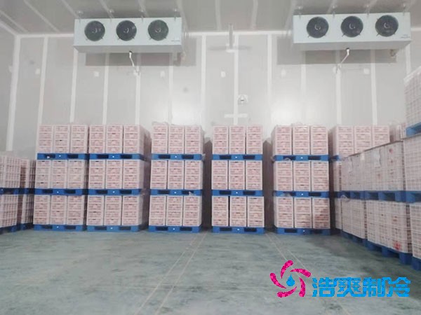 上海建設50噸果蔬氣調保鮮冷庫造價解析