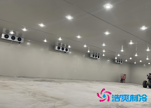 -18℃凍肉能放半年？揭秘食品冷庫造價秘密！-浩爽制冷