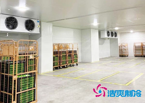 玉米冷庫造價(jià)