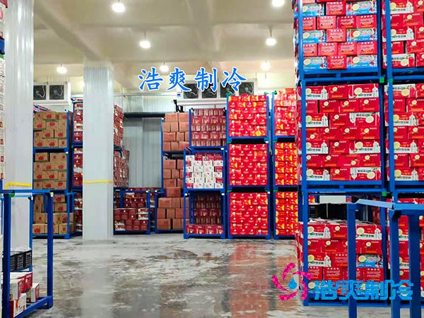 水果保鮮冷庫造價每平米多少錢？-浩爽制冷
