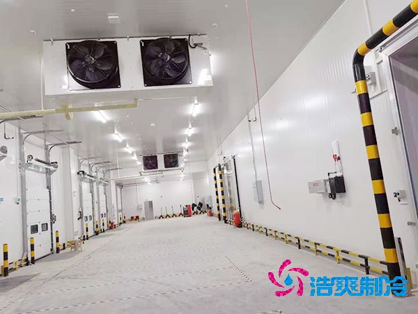 1000立方冷庫造價預算及耗電量解析