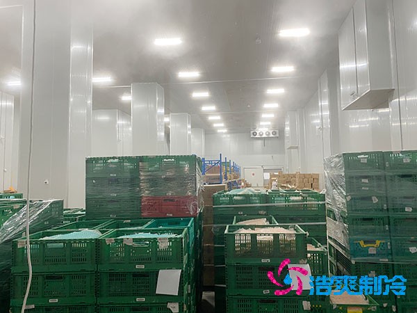 100平米保鮮冷庫能存儲多少噸香菇?香菇冷庫造價多少錢?