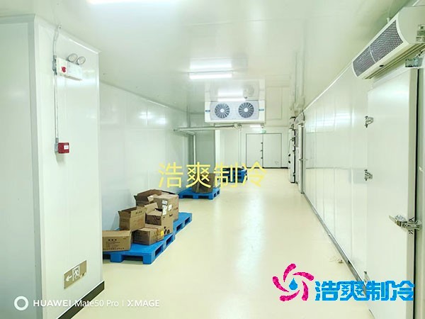 荔枝冷庫安裝價格多少錢一平方米?荔枝冷庫可以放多久-浩爽制冷