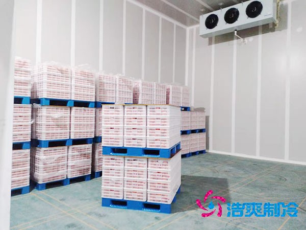 水果冷庫/保鮮庫建造價格