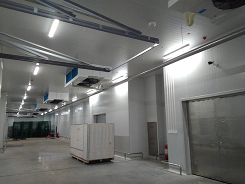 河北周黑鴨新工廠項目1#車間冷庫建造 河北周黑鴨新工廠項目1#車間冷庫建造