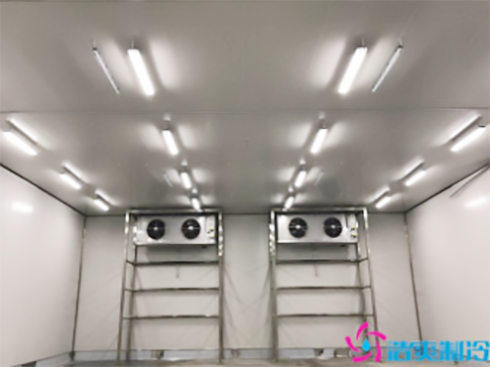 湖北78000m3食品加工冷庫建造安裝 湖北78000m3食品加工冷庫建造安裝