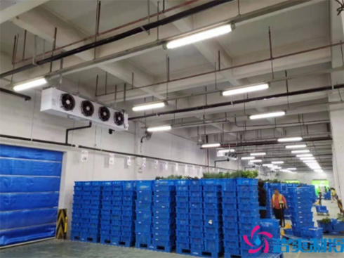 叮咚買菜17000m3生鮮電商冷庫建造 叮咚買菜17000m3生鮮電商冷庫建造