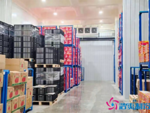 武漢鑫葡果品50000m3低溫冷凍庫建造 武漢鑫葡果品50000m3低溫冷凍庫建造